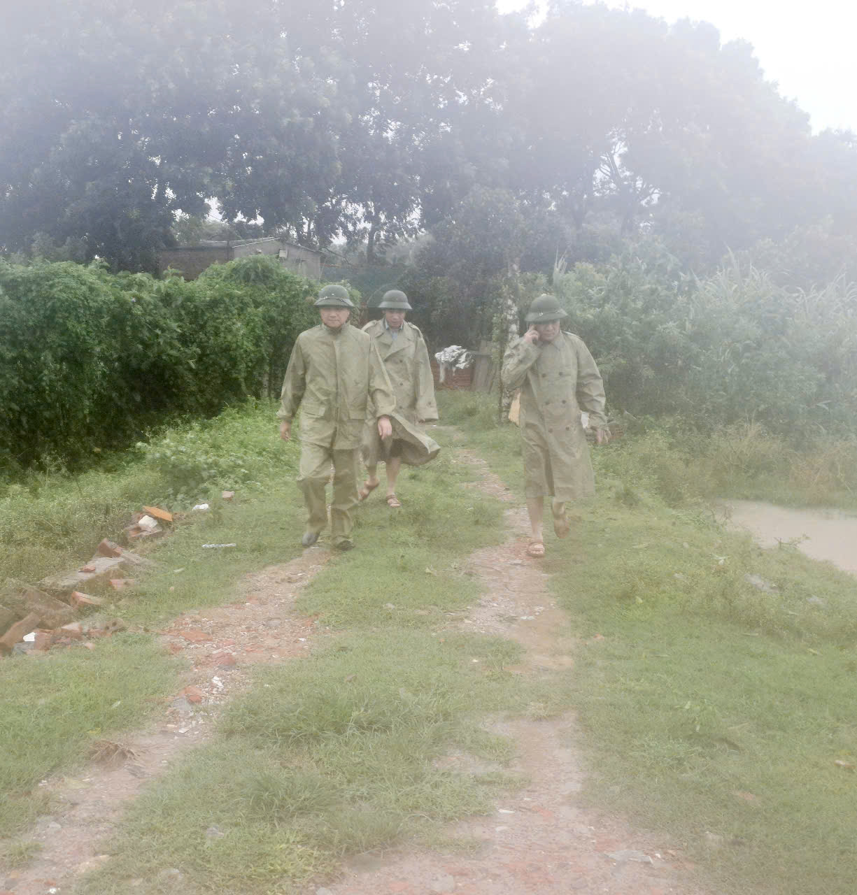 Anh-tin-bai